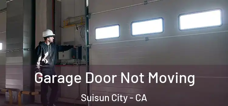  Garage Door Not Moving Suisun City - CA