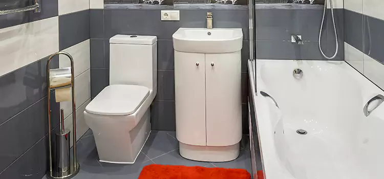 Hansgrohe Shaving Mirror Suisun City